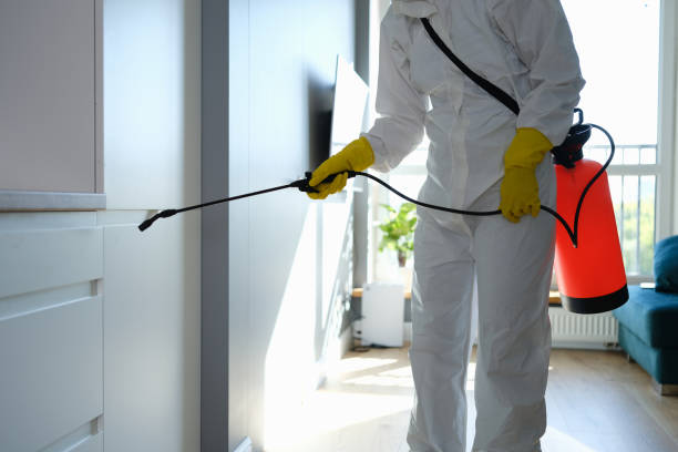 Best Commercial Mold Remediation in Collinsville, VA